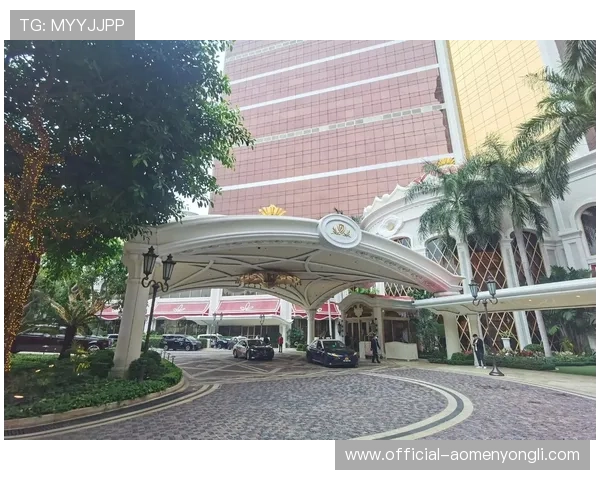 永利皇宫手机官方地址查询常见问题及解决方案全攻略