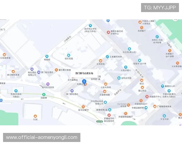 澳门前十赌场的交通便利性与周边配套设施全面分析 澳门前十赌场的交通便利性与周边配套设施全面分析