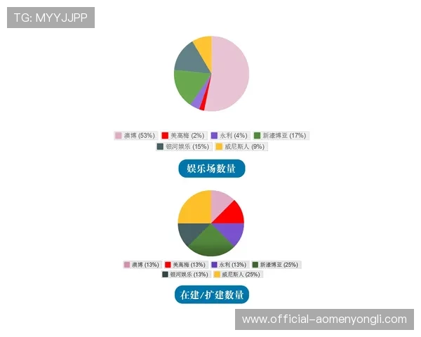 澳门赌场年龄差异对赌博风险控制和客户维护策略的实际应用分析